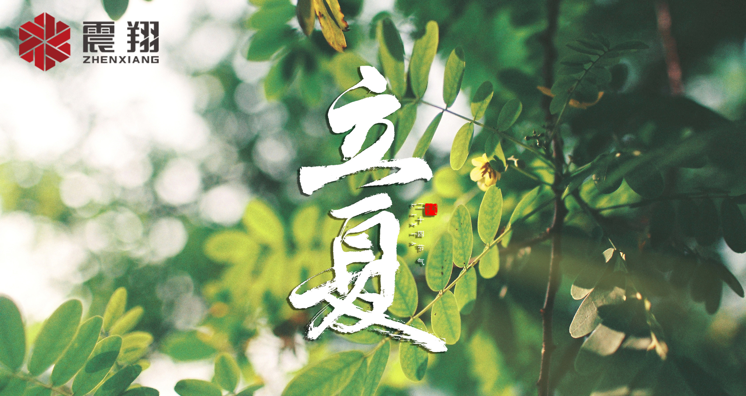 【立夏】春去春來不曾留意，夏日當(dāng)歸，撲面而來