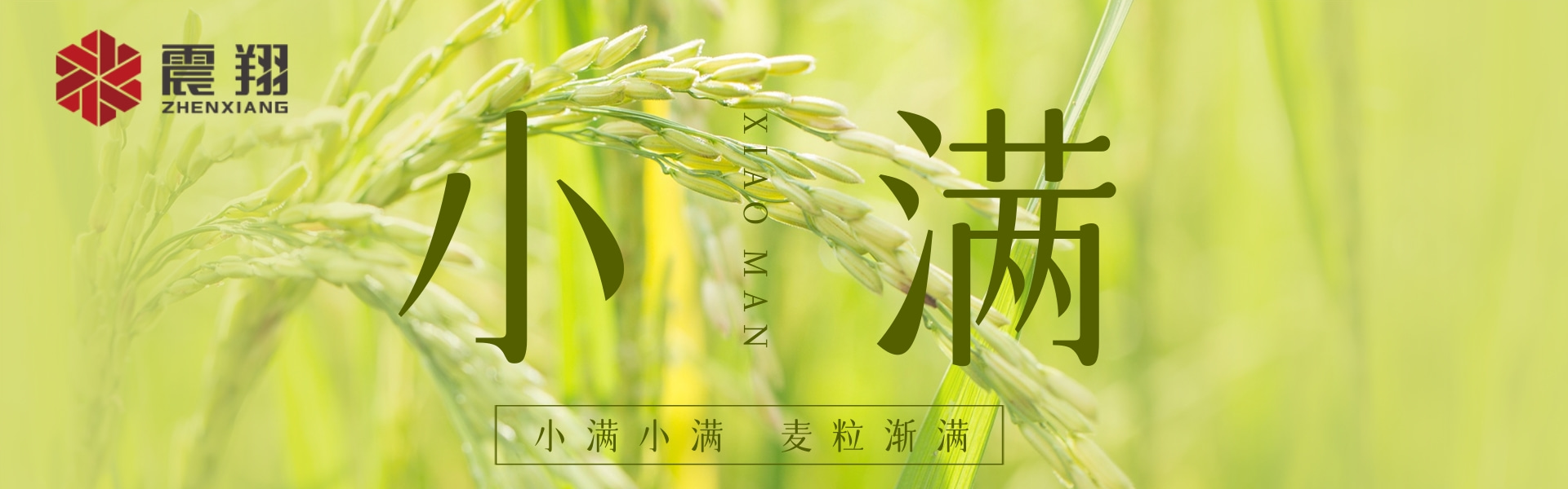 小滿|???????小滿小滿，江河漸滿。