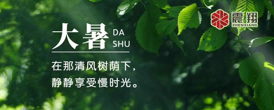 大暑|感受盛夏熱情，品味生活韻味